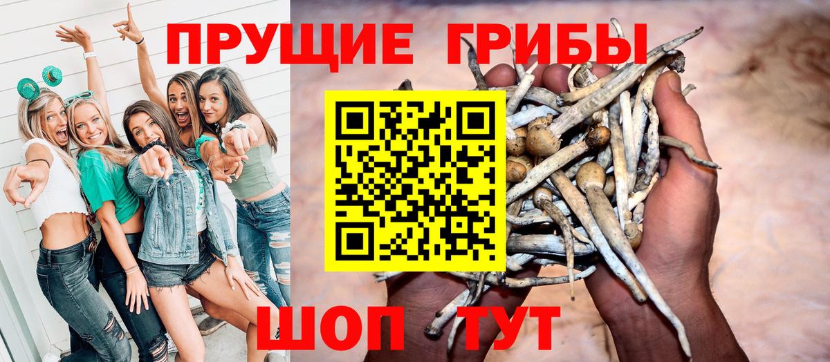 Псилоцибиновые грибы мицелий Ростов-на-Дону